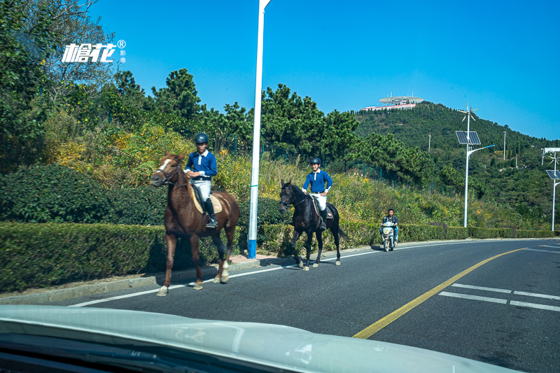 導游之家申請領隊證流程？澳門 旅游