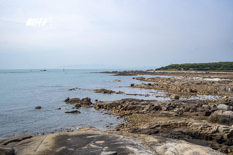 香港澳門特區(qū)旅游(香港澳門旅游全攻略)