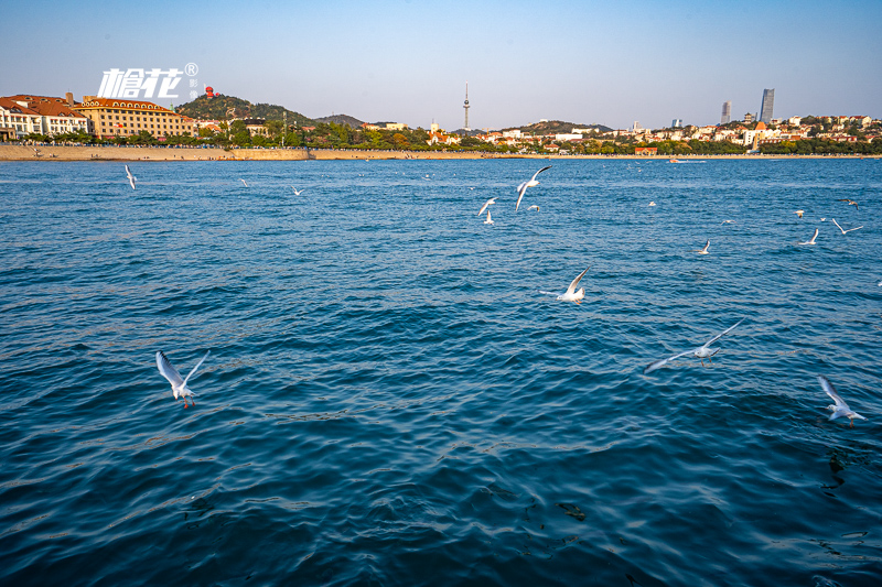 澳門釣魚臺(tái)旅游(澳門怎么回歸的)