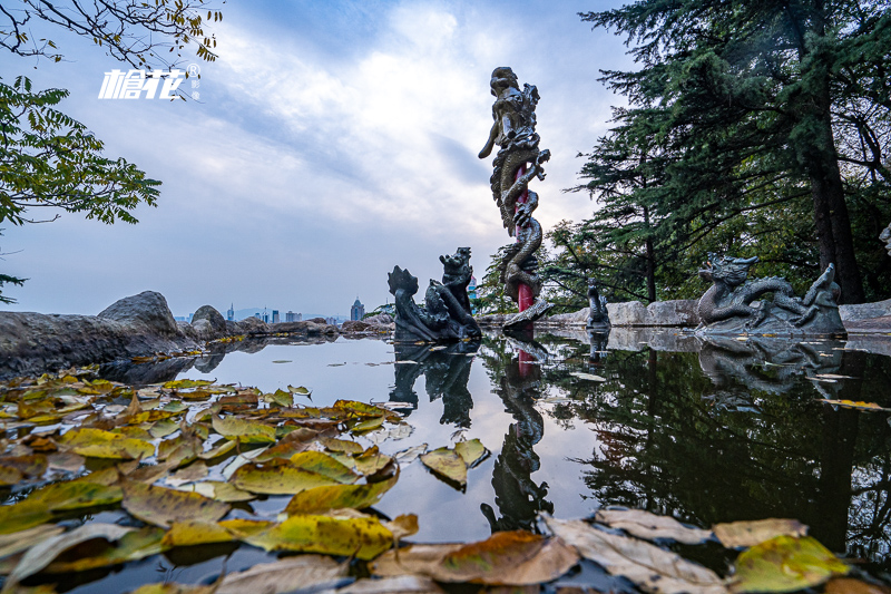 澳門旅游塔葡萄肴餐廳(澳門哪里吃葡國菜又抵又好吃的啊)