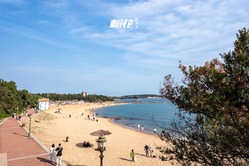 韓國南丫島旅游攻略？韓國南怡島旅游攻略