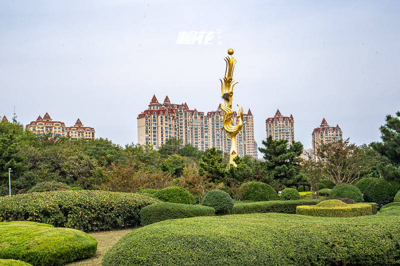 韓國人到東北延邊旅游(為什么很多韓國人在延邊)