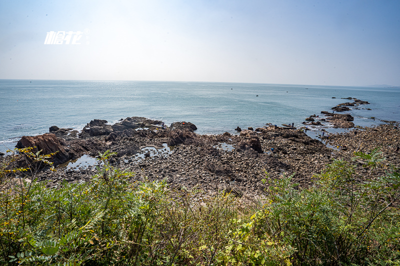 日本鹿兒島景點(diǎn)門票 鹿兒島在日本什么位置