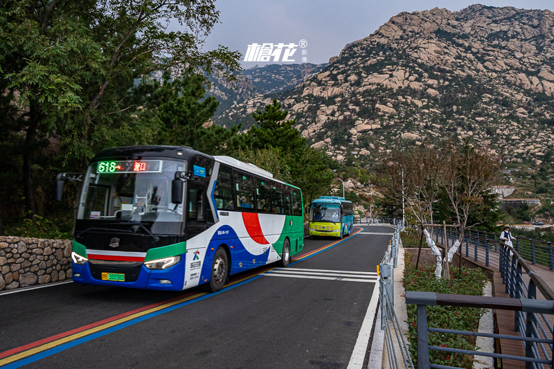 青島到東京旅游住宿費(fèi)用(青島到東京機(jī)票多少錢)