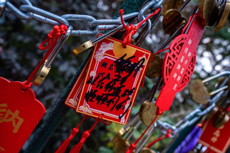 香港自由行攻略及花費，香港三日游自由行攻略