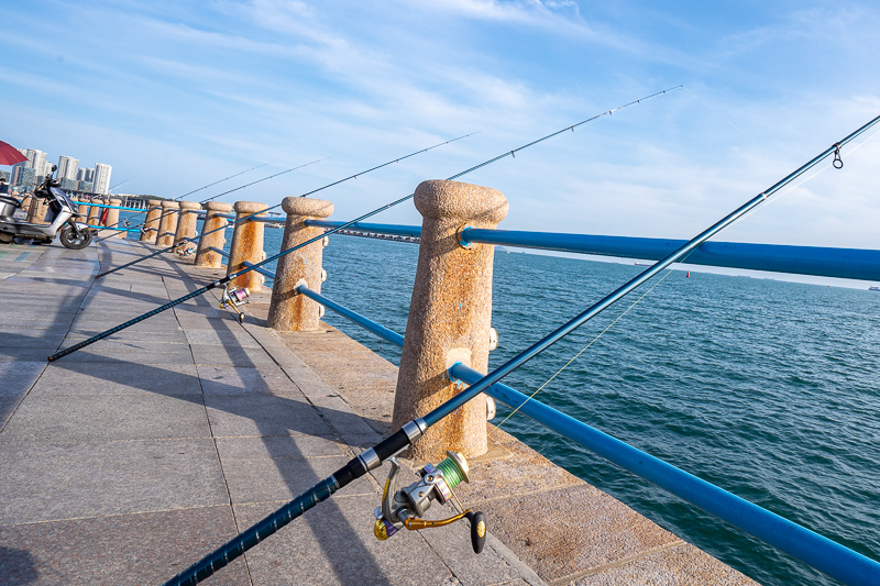 香港魚(yú)蛋是什么魚(yú)做的(香港的魚(yú)蛋一般從哪里拿貨)