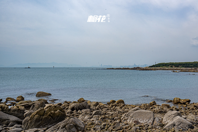 深圳香港跟團一日游(深圳到港澳旅游價格)