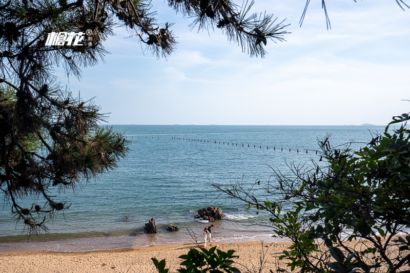 珠海香港一日游多少錢，珠海到澳門旅游攻略珠海到澳門一日游攻略多少錢