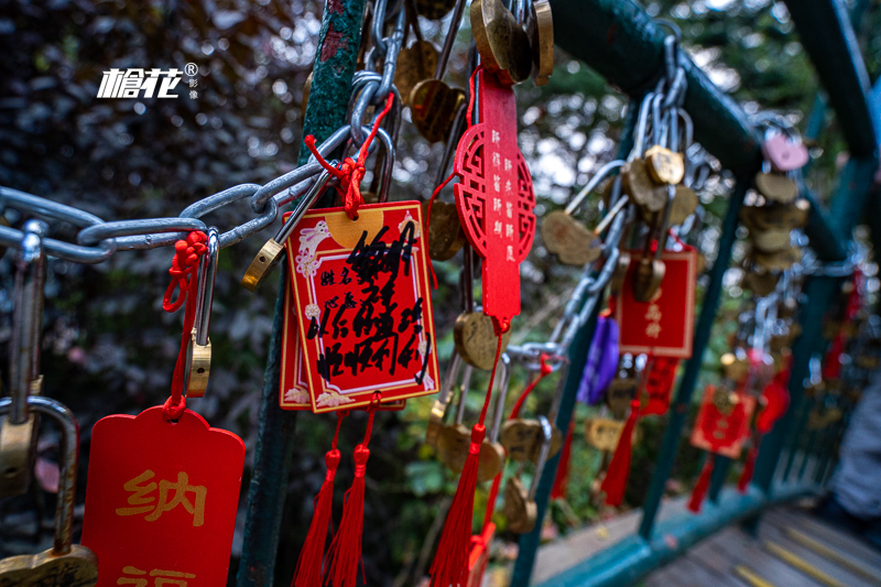 深圳到香港旺角一日游？深圳到香港一日游需要港澳通行證嗎