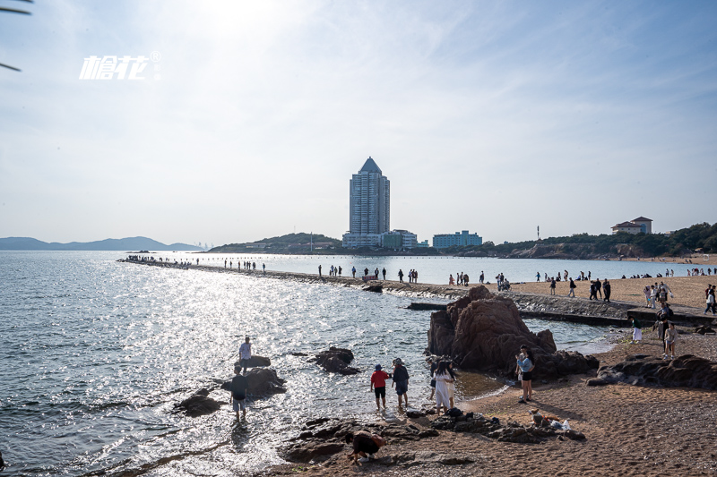 廣州去香港一日游羅湖口岸(深圳去香港最佳路線)